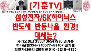 [주식투자]HLB(삼성전자/SK하이닉스반도체 반등나올 환경! 대세는?)