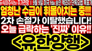 유한양행 2차 손절가 이탈했습니다..! 오늘 급락하는 진짜 이유!! FT.두식이주식TV 렉라자 미국FDA 승인 유한양행주가전망 목표가