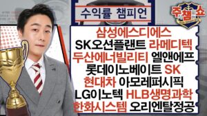 삼성에스디에스,SK오션플랜트,두산에너빌리티,엘앤에프,롯데이노베이트,SK,현대차,아모레퍼시픽,LG이노텍,HLB생명과학,한화시스템,라메디텍,오리엔탈정공_주식 챔피언 쇼 20240903