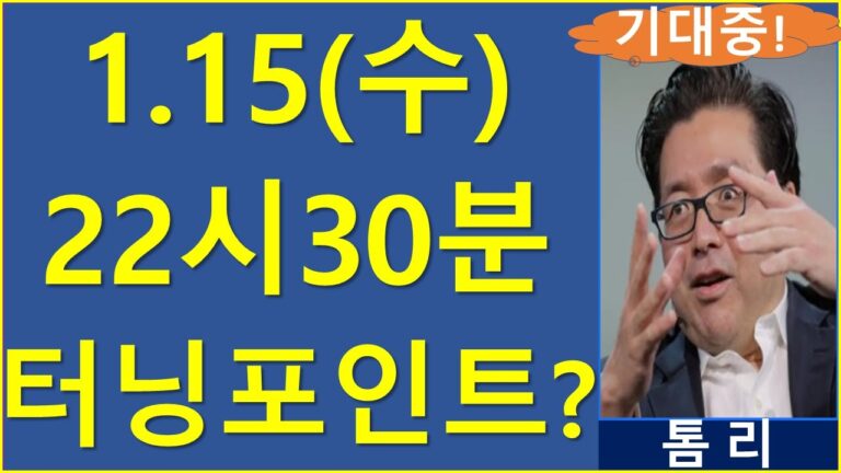 최근 조정에 바이더딥한 코인 주식은? 비트코인 이더리움 리플 솔라나 도지 톰리 cpi 버추얼프로토콜 ai16z