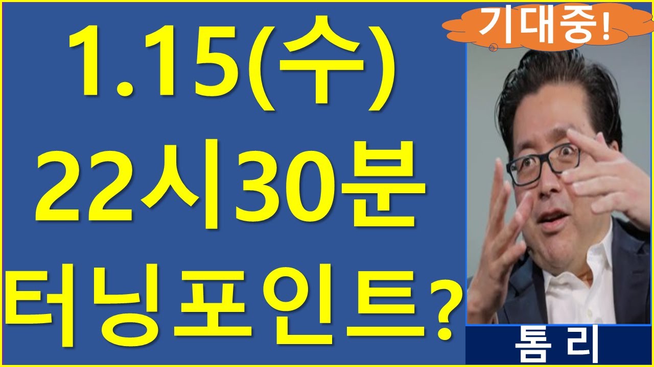 최근 조정에 바이더딥한 코인 주식은? 비트코인 이더리움 리플 솔라나 도지 톰리 cpi 버추얼프로토콜 ai16z