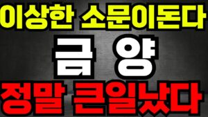 [금양주가전망]-이상한 소문이돈다 큰일났다!! #금양 #금양주가 #금양주가전망 #박순혁 #기봉이주식 #선대인tv