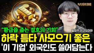 증시 하락 틈타 사모으기 좋은 '이 주식' 외국인도 쓸어담는다. 부자 될 기회입니다 (알파카 이코노미아 1부)