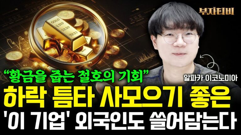 증시 하락 틈타 사모으기 좋은 ‘이 주식’ 외국인도 쓸어담는다. 부자 될 기회입니다 (알파카 이코노미아 1부)