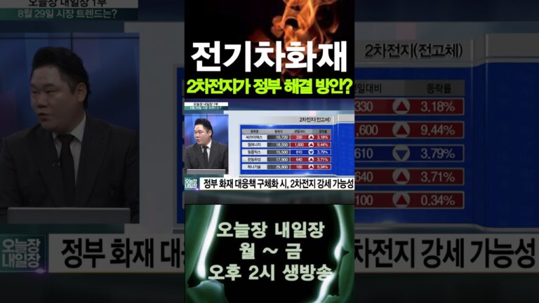 [오늘장내일장] 정부 전기차 화재 해결방안, 2차전지?  #shorts #2차전지 #화재 #정부 #전기차화재  #해결방법