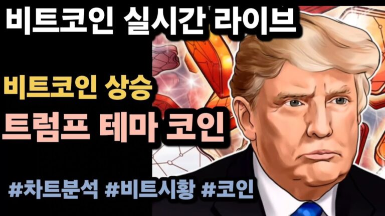 [실시간 LIVE] 비트코인 106K! / 이더리움 강세, 비트코인, 한때 10만7800달러대 ! #비트코인실시간 #이더리움 #리플 #솔라나 #도지코인