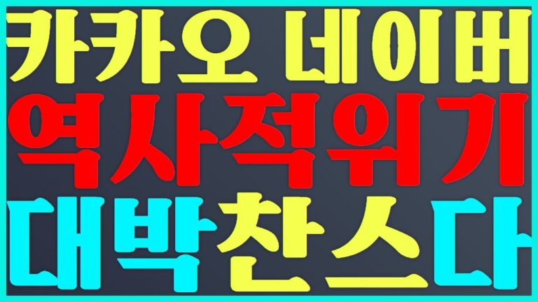 카카오 주식 투자 역사적 위기 대박 찬스다 #카카오 naver 주가 전망