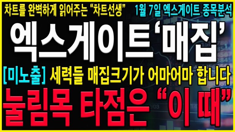 [엑스게이트 주가 전망] “긴급” 갑작스러운 조정이 나오는 진짜이유! 세력들은 매집후 이렇게 작업하고 주가를 끌어올립니다!! #드림시큐리티 #아이온큐 #엑스게이트