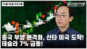 12월 25일 미국마감, “중국 부양 본격화, 산타 미국 도착! 테슬라 7% 급등!”