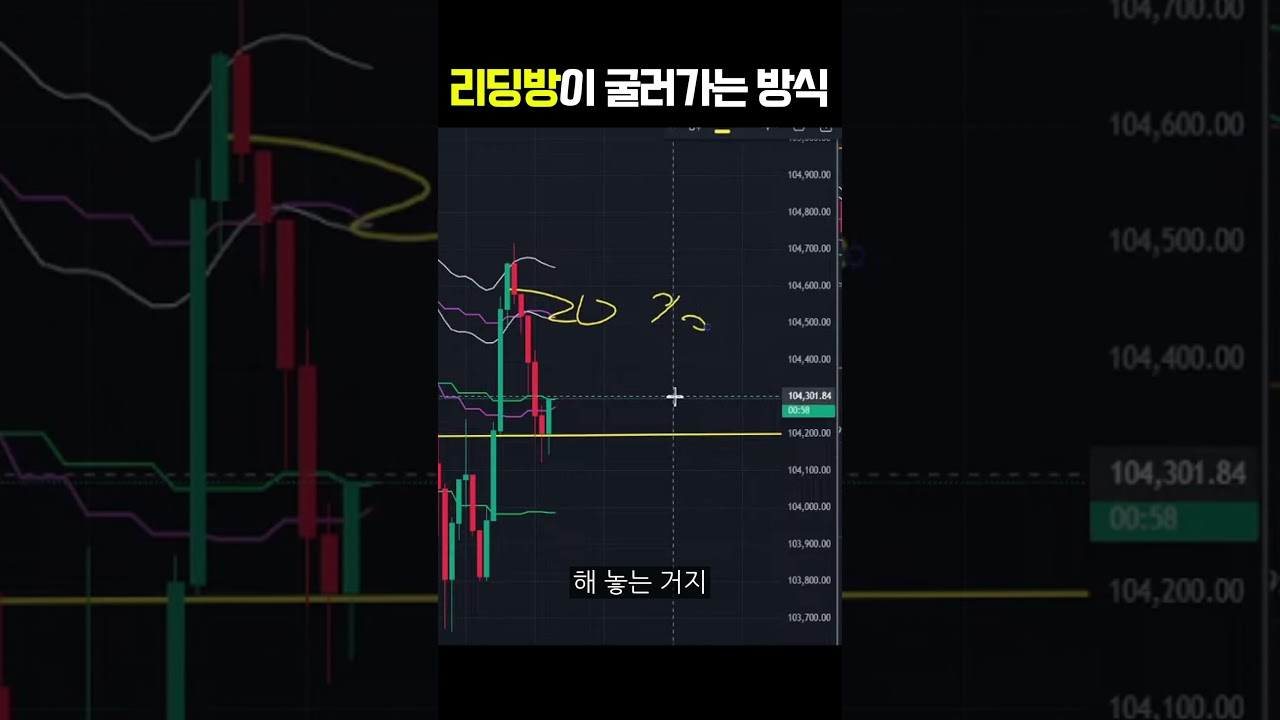 코인리딩방이 굴러가는 방식