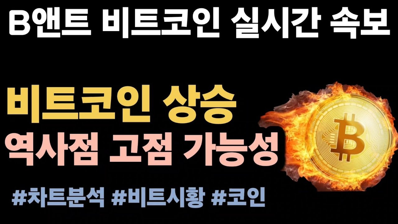 [실시간 LIVE] 비트코인 101K! / 비트코인은 좋으나 알트코인은 조정. #비트코인실시간 #이더리움 #리플 #솔라나 #도지코인