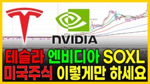 테슬라 엔비디아 SOXL 미국주식 이렇게만 대응 하세요! 다음주를 위해 꼭 보세요