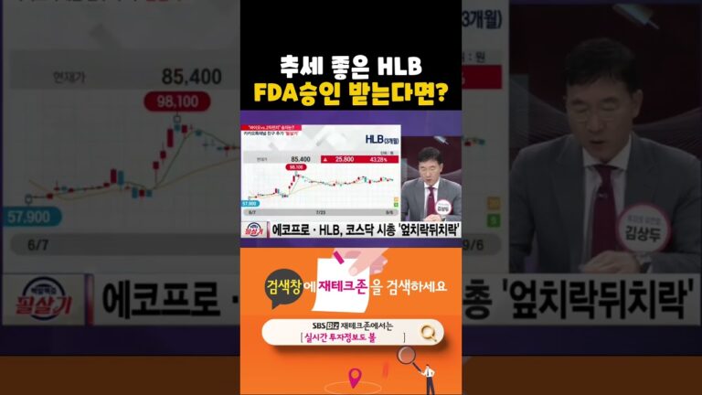 HLB 상승 추세는 FDA승인 기대감. 승인 받으면 제2의 유한양행(20240906)