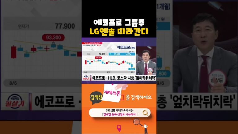 에코프로·에코프로비엠도 LG엔솔처럼 반등 곧 시작된다(20240906)