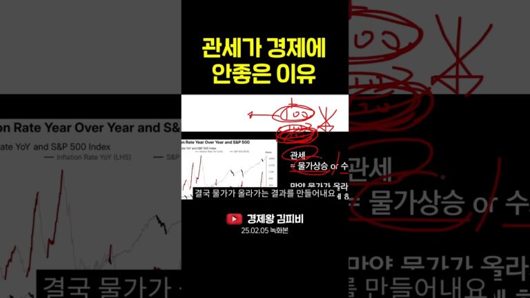 관세가 경제에 안좋은 이유 #shorts