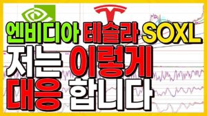 엔비디아 테슬라 SOXL 저는 이렇게 대응 합니다...