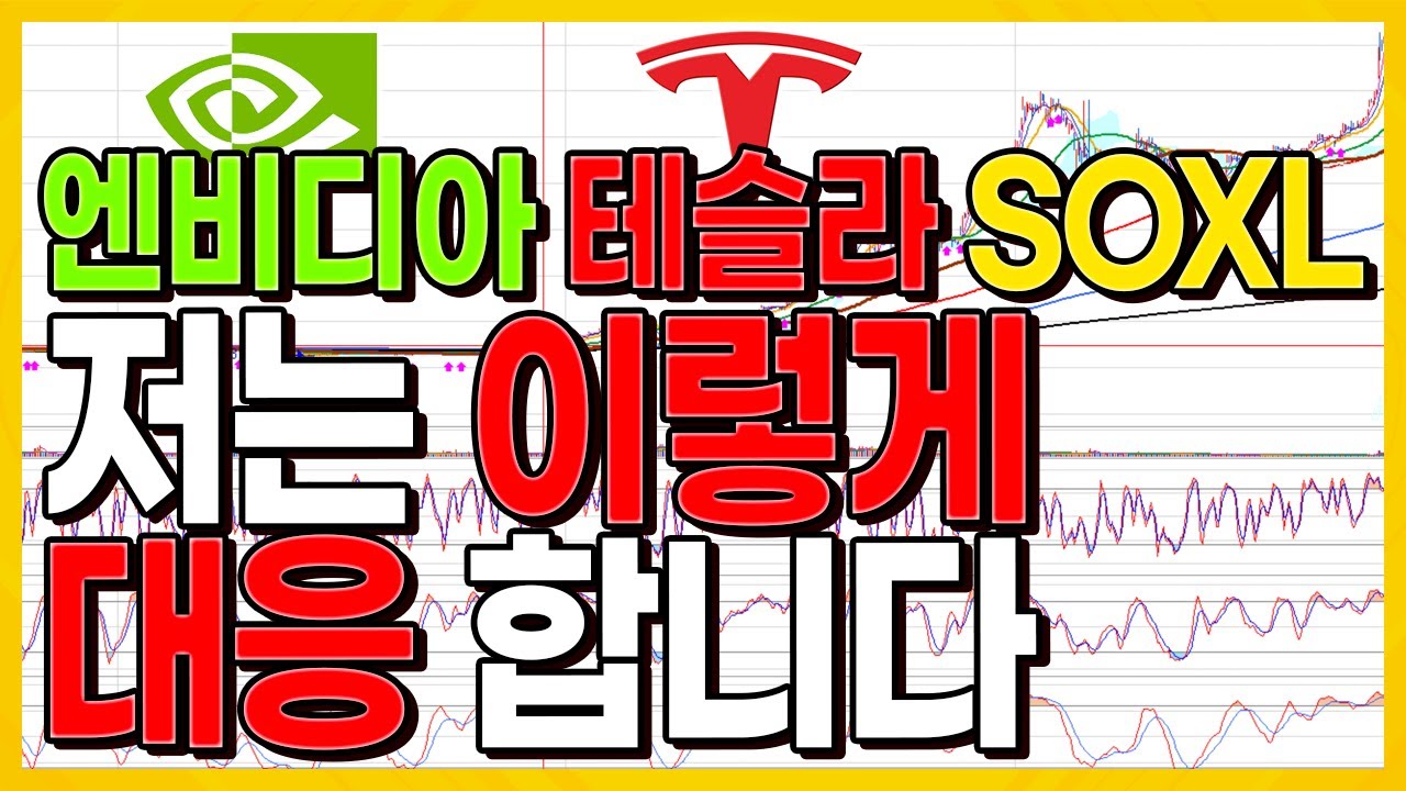 엔비디아 테슬라 SOXL 저는 이렇게 대응 합니다...