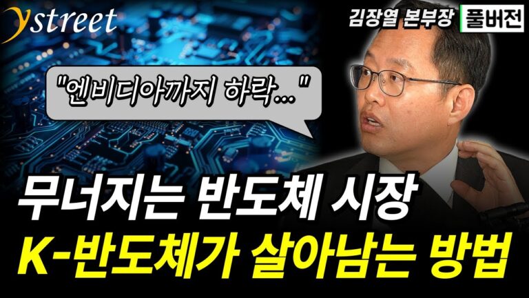“믿었던 엔비디아까지…” 무너지는 반도체 시장 속에서 K-반도체가 살아남는 방법 / 김장열 본부장 (풀버전)