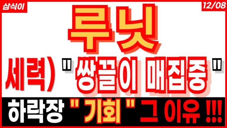 루닛 – 세력) ”  쌍끌이 매집중  “🔥하락장 ” 기회 ” 그 이유 !!! AI의료 핵심 트럼프관련주 급등주 AI관련주 대장주 주가 주가전망 주식추천 목표가 대응방법 삼식이