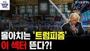 [한경글로벌마켓] 트럼프 2.0 개막 변동성장세 속 눈여겨봐야 할 섹터는? (IT,금융 편)