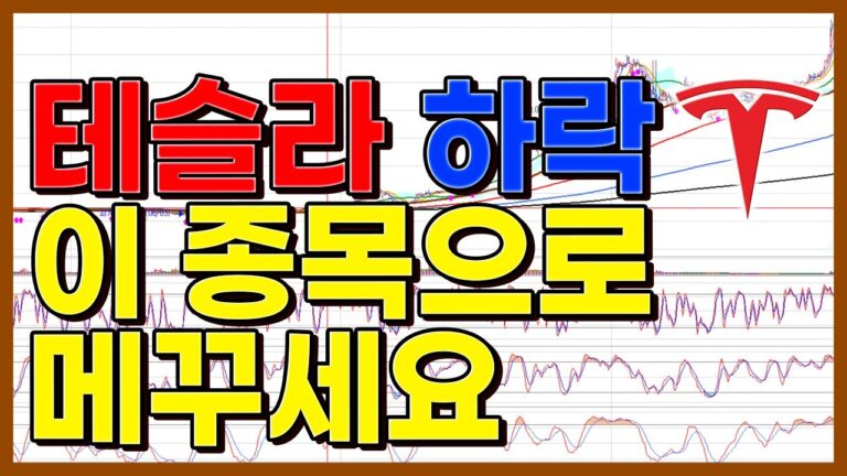 테슬라 하락 “이 종목”으로 메꾸세요! ( 엔비디아 SOXL TQQQ 브로드컴 등 차트 분석)