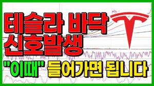 테슬라 역대급 바닥 신호 발생, "이때" 들어가면 완벽합니다.