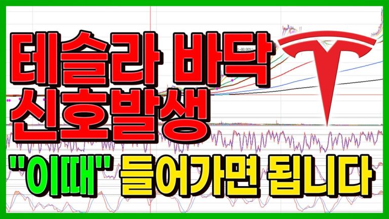 테슬라 역대급 바닥 신호 발생, “이때” 들어가면 완벽합니다.