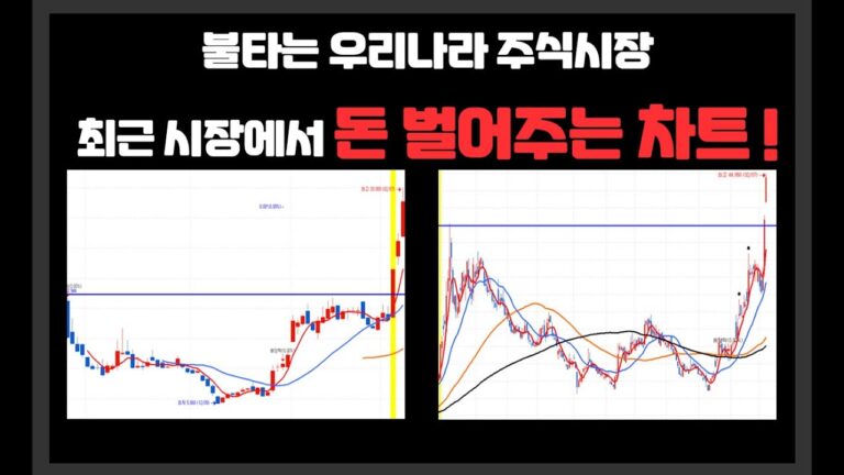 최근 시장에서 돈 벌어주는 차트 !/ 작년 힘든 장을 이겨내고 불타는 우리나라 주식시장