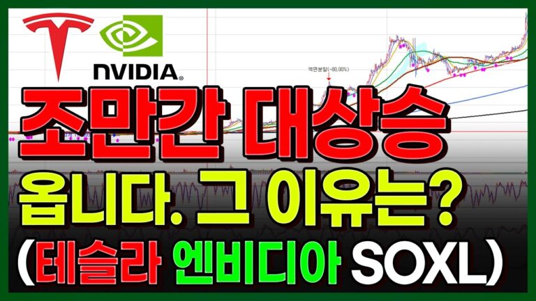 새로운 대상승 신호 발생. 그 이유는?? (테슬라, 엔비디아 SOXL))