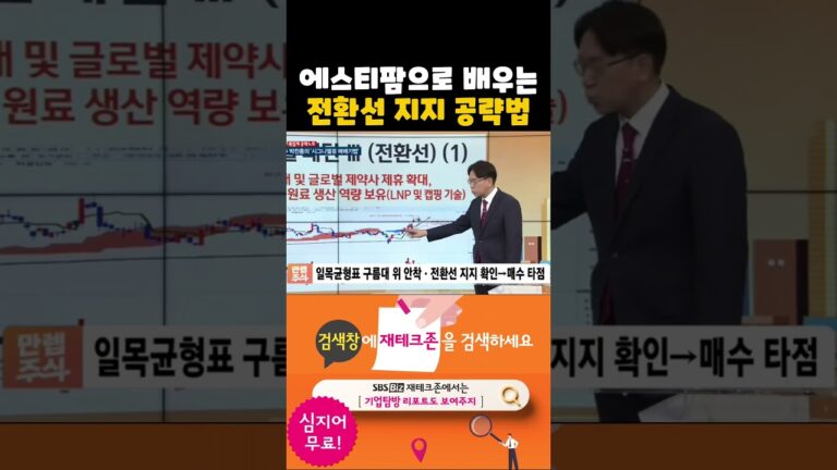 에스티팜 사례로 배우는 일목균형표 전환선 지지 공략법