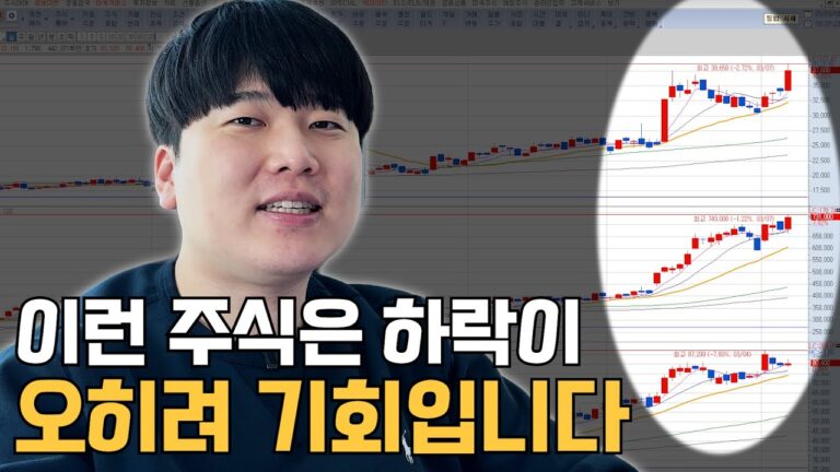 하락에도 끄떡없는 ‘이 주식’ [대왕개미 홍인기]
