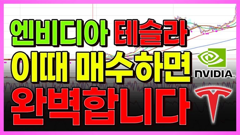 엔비디아 테슬라 이때 매수하면 완벽 그 자체 입니다.
