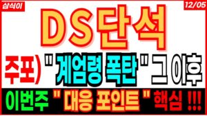 DS단석 - 주포) " 계엄령 폭탄 " 그 이후🔥 이번주 " 대응 포인트 " 핵심 !!! 디에스단석 무상증자 대응 급등주 주도주 주가 주가전망 주식추천 목표가 대응방법 삼식이