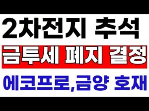 에코프로,금양 2차전지 새벽 대통령 특별지시 금감원의 발표 결정 #에코프로 #에코그로비엠 #금양