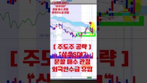 2024년 09월 11일 [ 주도주 공략 : 삼성SDI ] 이미 바닥권을 벗어났다. 강한 상승추세 기대 업 ~ #2차전지 #전고체배터리 #삼성SDI #주식