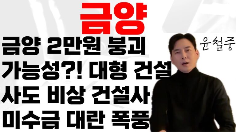 [긴급] 금양 공장 지연·자사주 매각 “2만원 붕괴” 현실화? 대형 건설사도 비상! 금양 결국 2만 원 아래로 떨어질까? 부도·미수금 폭탄! 금양 이차전지 폭풍 속 어디까지 추락?