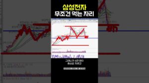 삼성전자 무조건 먹는 자리! | 강흥보 대표
