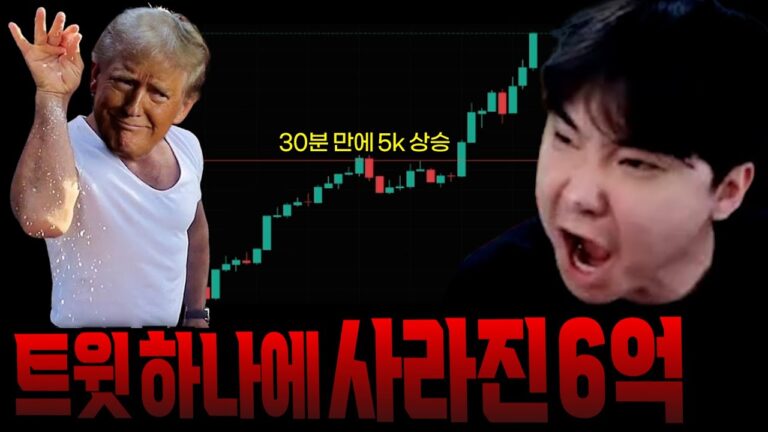 트럼프 트윗 하나에 6억을 잃은 사람 Trump tweeted and Zzapgu lost $400,000[SUB]
