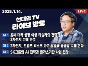 올해 대폭 성장 예상 테슬라의 전략과 2차전지 수혜 분석 + 2차전지, 트럼프 리스크 가고 탈중국 공급망 수혜 온다 + SK그룹의 AI 전략과 글라스기판 사업 전망 #선대인