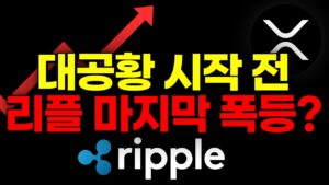 리플과 알고랜드 외엔 코인 매매 하지 마세요.