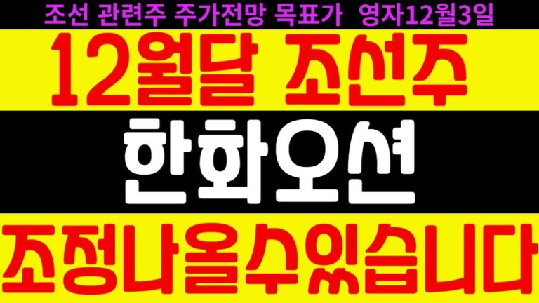 [한화오션 주가전망] 조선관련주 | 12월달 조선주 조정 나올 수 있습니다 feat.디에스경제연구소 영자 목표가