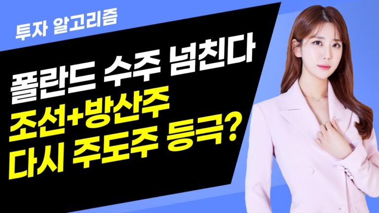 [투자 알고리즘] 폴란드 수주 넘친다 조선+방산주 다시 주도주 등극? / 머니투데이방송 (증시, 증권)