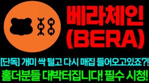 [베라체인] 단독!! 개미 싹 털고 다시 매집 들어오고있죠?!