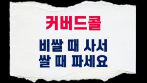 244. 지금까지 커브드콜로 꿀 빠셨죠? 이제는 매도타이밍입니다