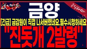 [금양 주가 전망][긴급속보]류광지회장 동생과의..회계부정 금감원이칼뽑았네요.로봇을사시죠!.반드시 이대로 하세요!#금양주가전망 #금양대응전략 #금양주식전망 #금양주가분석 #이차전지