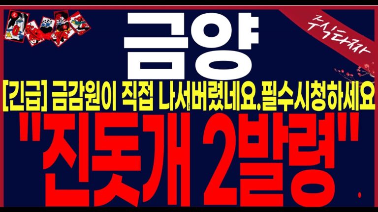 [금양 주가 전망][긴급속보]류광지회장 동생과의..회계부정 금감원이칼뽑았네요.로봇을사시죠!.반드시 이대로 하세요!#금양주가전망 #금양대응전략 #금양주식전망 #금양주가분석 #이차전지
