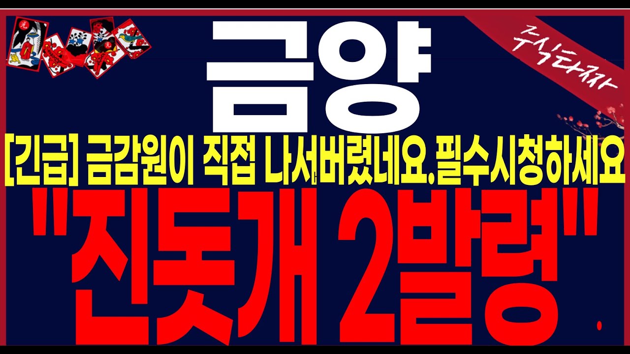 [금양 주가 전망][긴급속보]류광지회장 동생과의..회계부정 금감원이칼뽑았네요.로봇을사시죠!.반드시 이대로 하세요!#금양주가전망 #금양대응전략 #금양주식전망 #금양주가분석 #이차전지