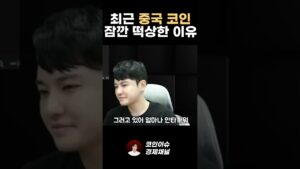 중국 코인 떡상 후 바로 떡락한 이유... 중국 코인 메타 오나요?