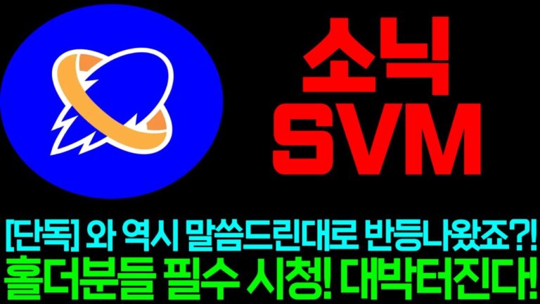 [소닉SVM2] 단독! 와 역시 말씀드린대로 반등 나왔죠?!