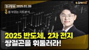 2025 반도체, 2차 전지 쌍절곤을 휘둘러라! | 김민형 전문가